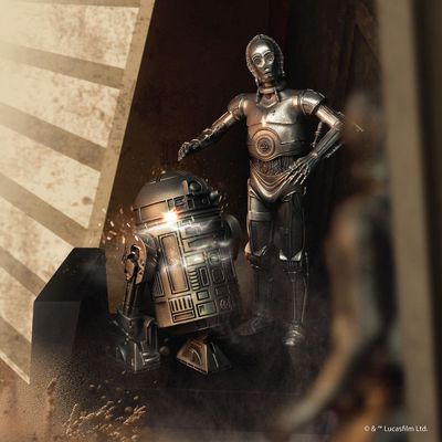 C 3po and R2 D2 Endor Figurine