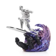 LE Silver Surfer Wormhole, bilde 3