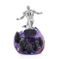 LE Silver Surfer Wormhole, bilde 2