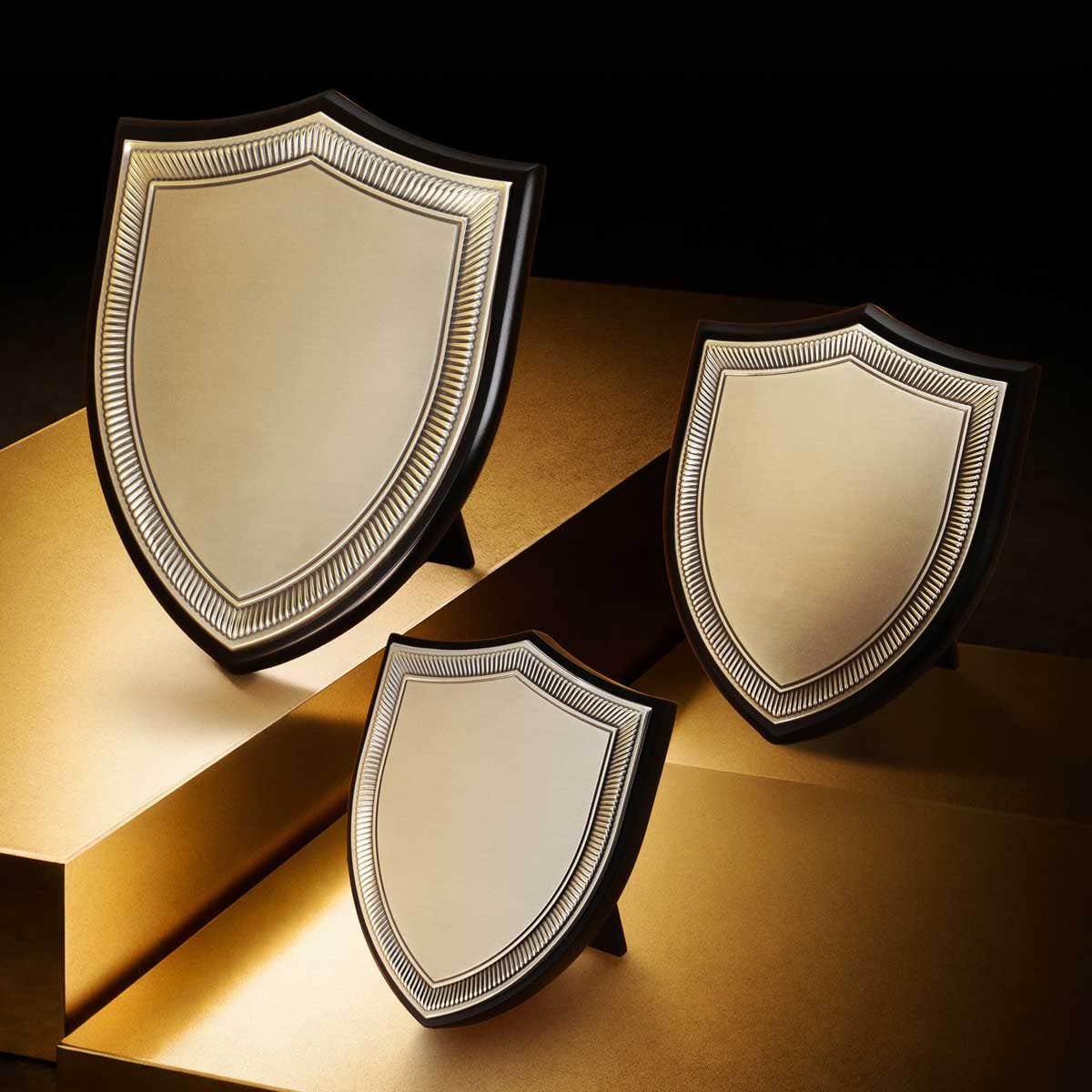 Champion's Plaque SM
